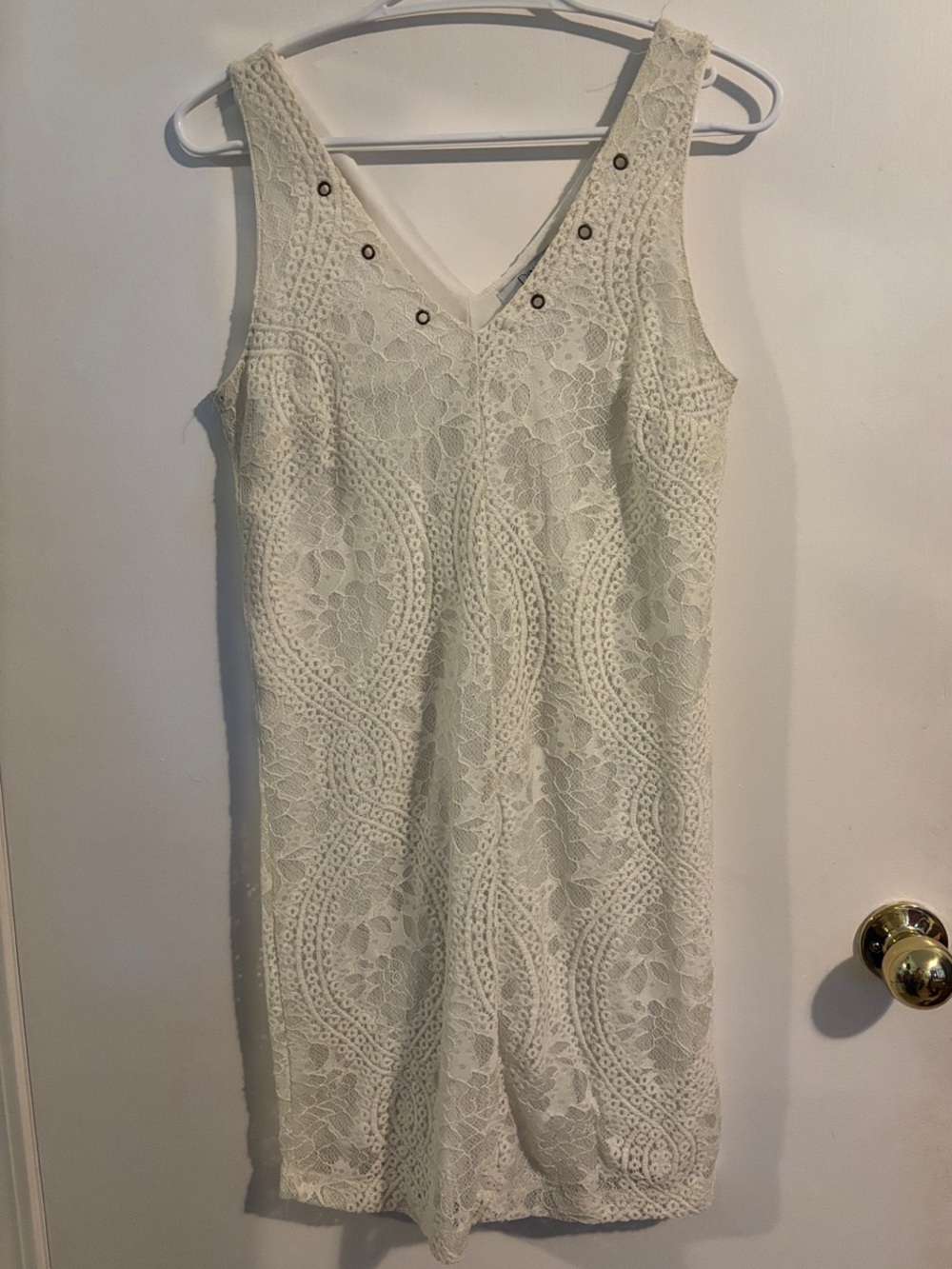 Dex Lace Sleeveless V-Neck Mini Dress